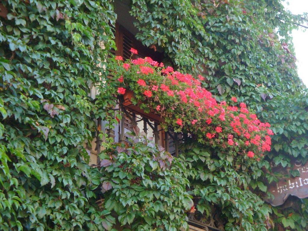 Hotel Casa Frauca Sarvise Bagian luar foto